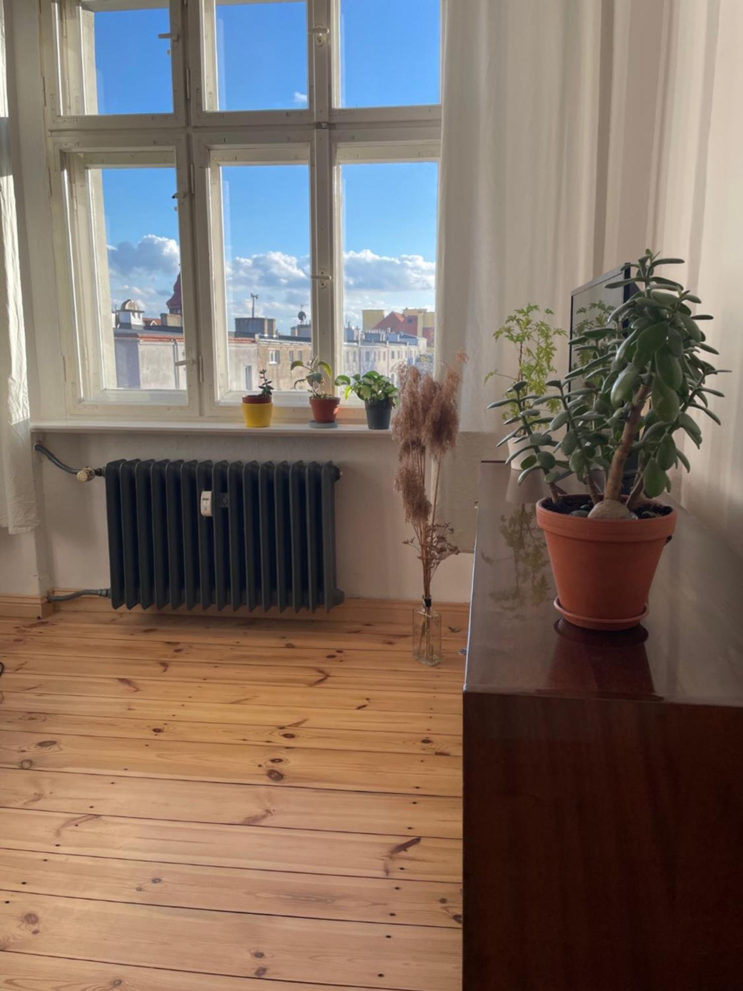 Sentymenty - Apartamenty W Kamienicy Na Mickiewicza Stary Toruń Kültér fotó